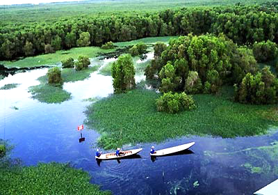 Le parc national de Mui Ca Mau, nouveau site Ramsar